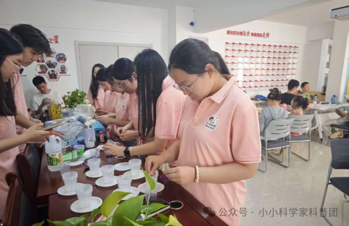 ��СС�ƌW�ҡ�����������`�F|���M�R�ּ҈@��^���_չ������ϵĻ��W��С�n��