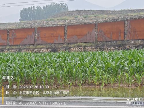 ���ƅ^�������ˮ����ʧ�{�飺�����֘I��W�����{�����ڌ��`С�Mֱ���F��