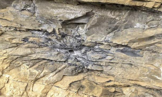 �ɶ��t�WԺ��������t��־Ը���ՈF�����·��z���У��s�m�tɫѪ�}