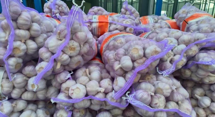 說(shuō)明: IMG_3391.jpeg