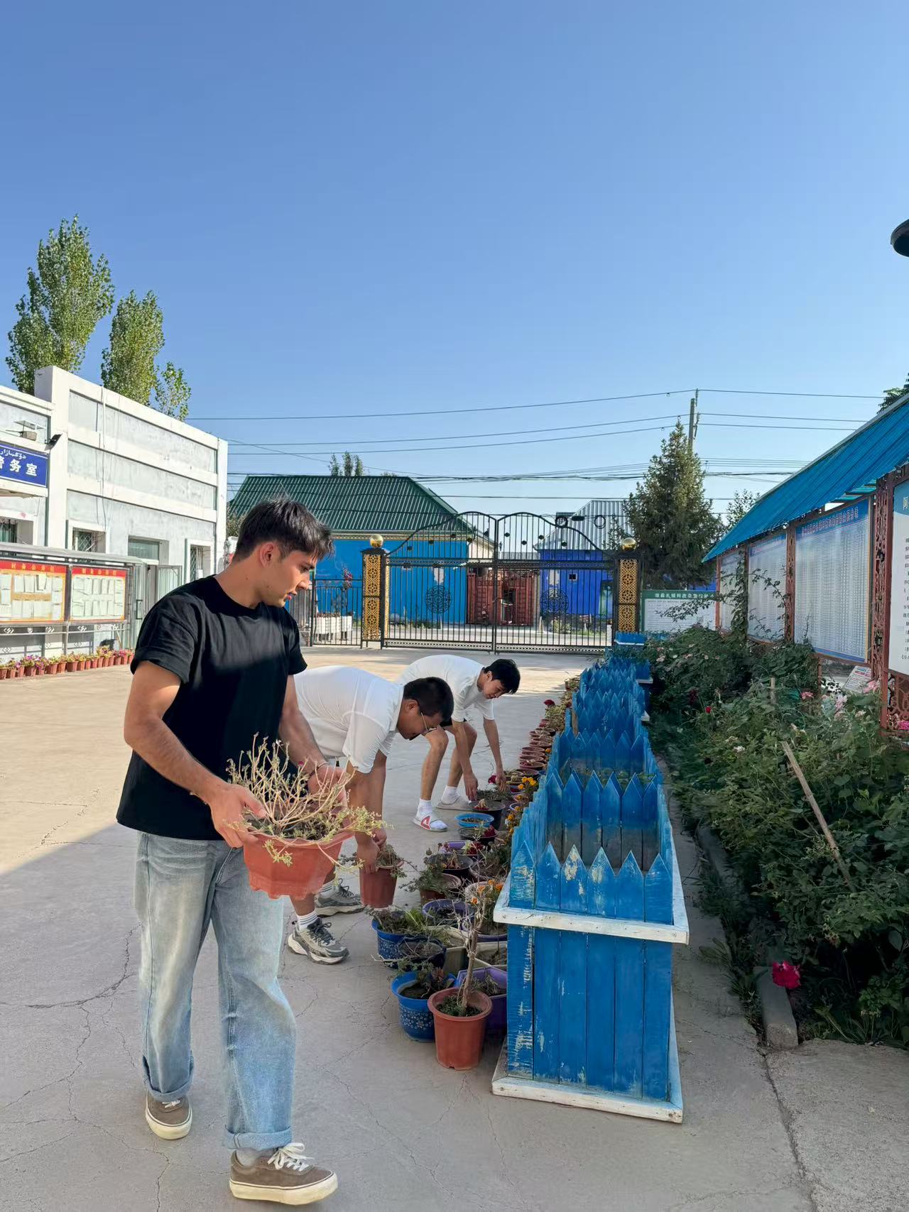 ����ʯ�ʹ�W(xu��)�W(xu��)�Ӹ��½��������մ��_չ�����l(xi��ng)������`���