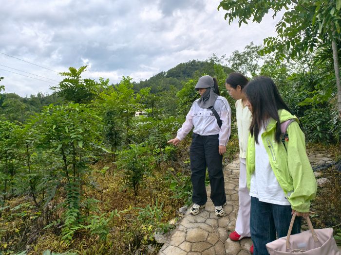 �Pɽ����ˎ�p�d�����`��һ�á���ˎ�ġ�����������a�I�� �����Ѻ�N�繫˾̽��������ҪЧ����·��