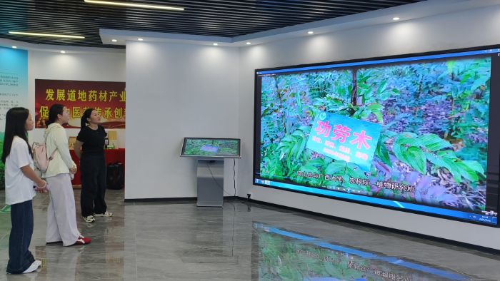 �D��ʮ�󹦄�ľʾ���^(q��)ؓ(f��)؟(z��)��ͨ�^(gu��)�ǻ۴�����F(tu��n)�(du��)�ɆT��B������r  ���� ���D