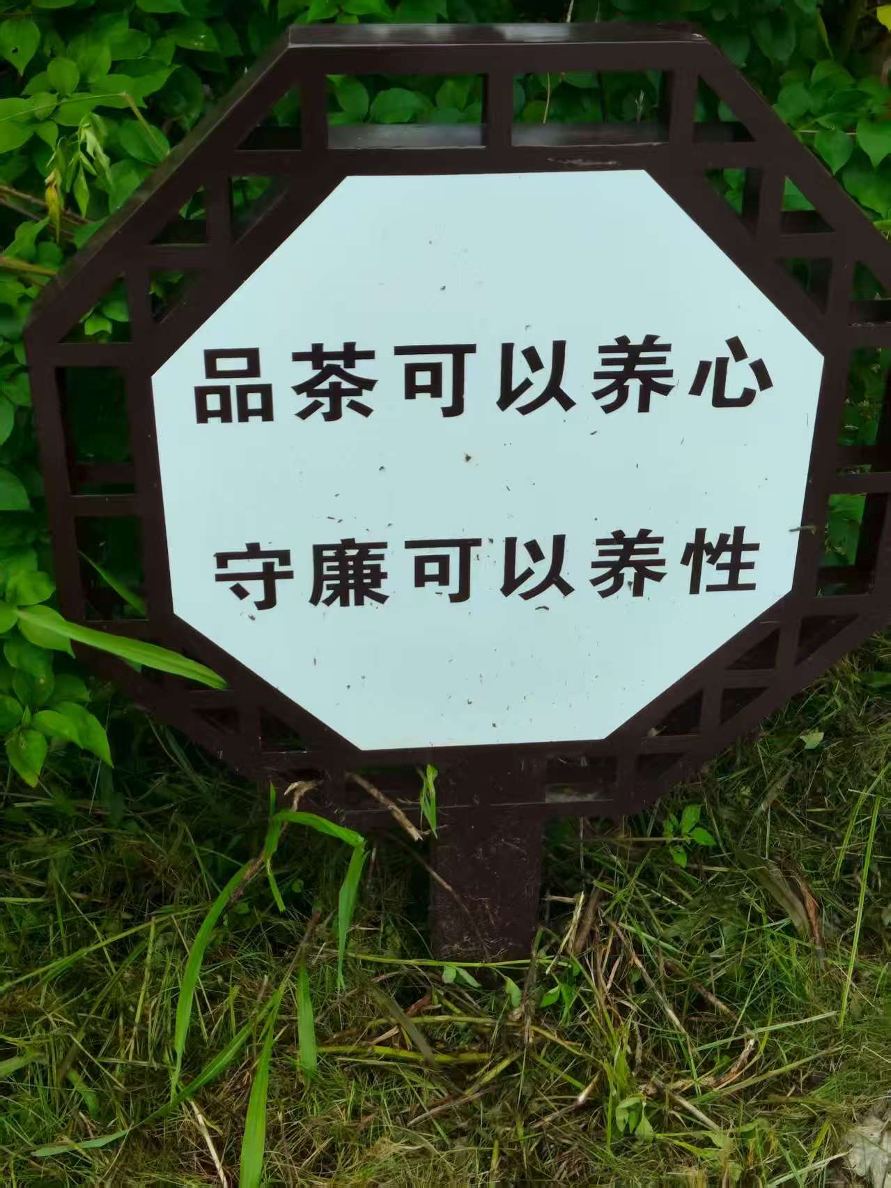 ���l������̽���������Ļ������c�a�I��ò ������W��������`�F��n���{�мo��