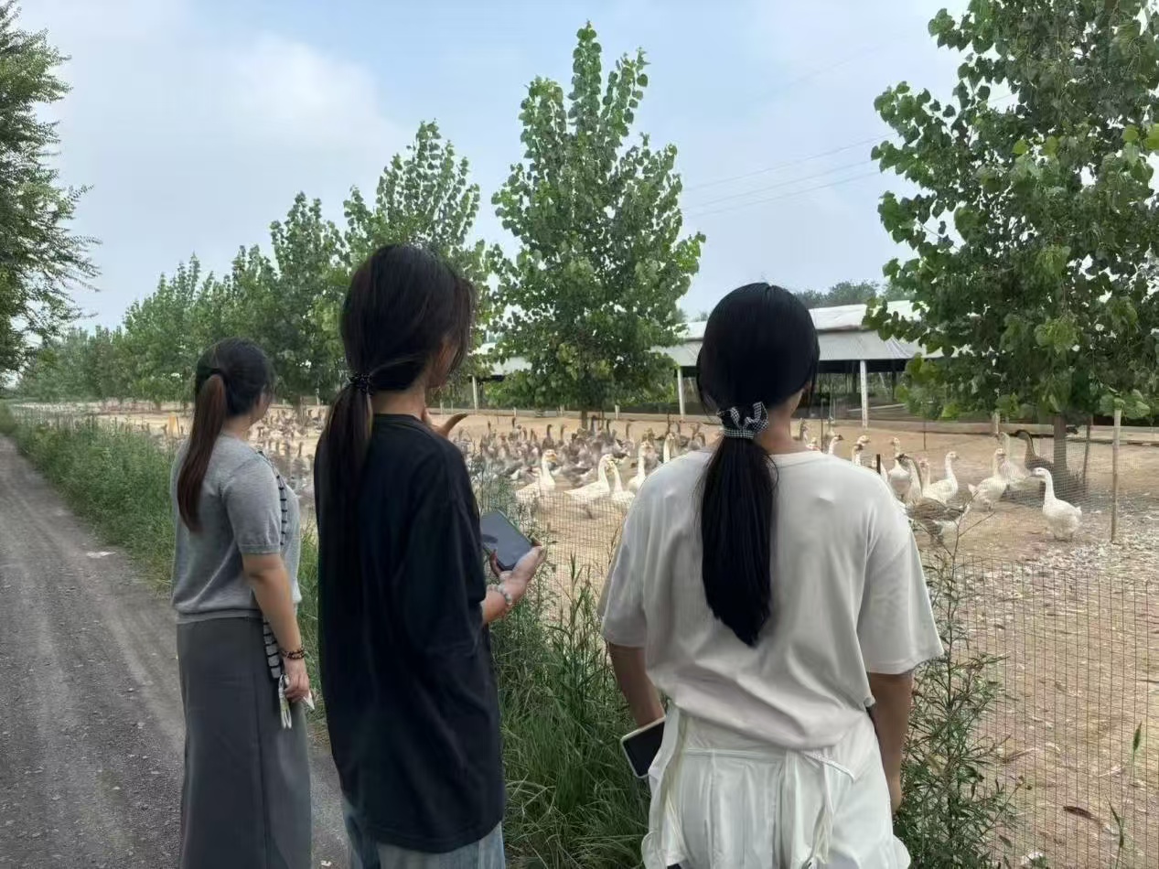 ���u�r�I��W��������������P�����r������