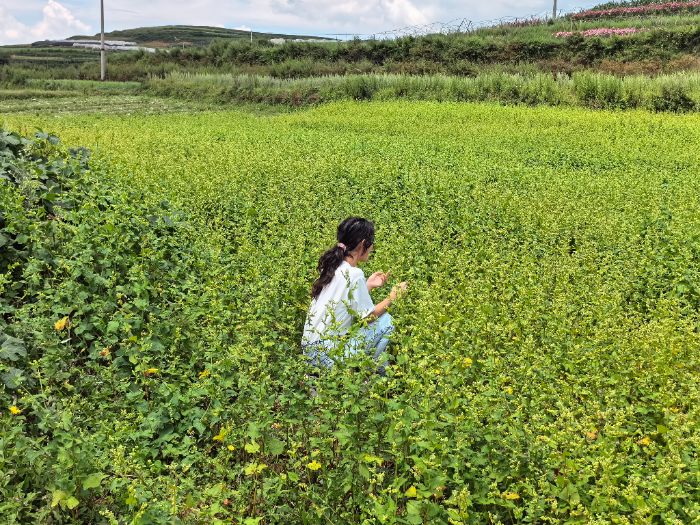 �ƎX�r�L��һ�^�ؚq�£���İҊ����