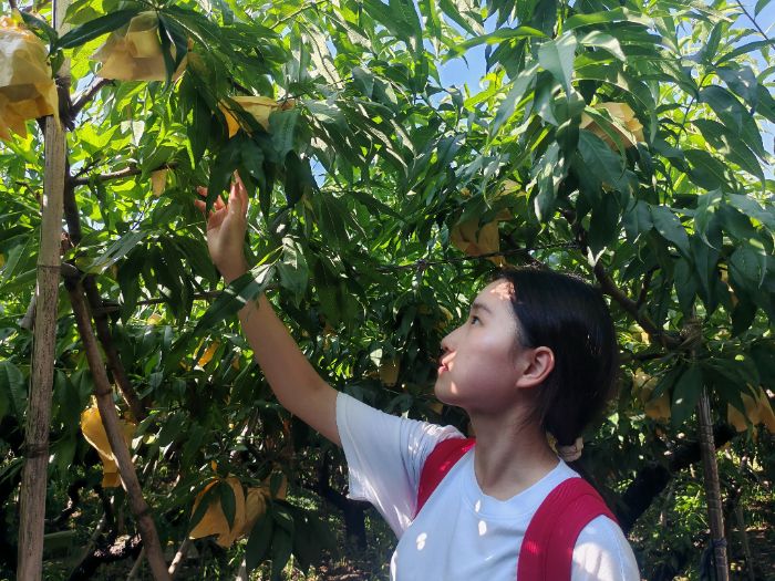 �҈@��̎�L�ræ �P��W��̽���P��ˮ���Үa�I���L�ܴa