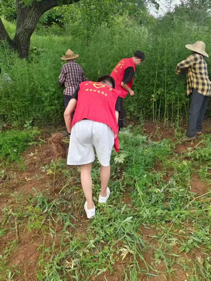 �ഺ�����l����������o�G�`���� | �����l�匍�`��c����ĳ�������