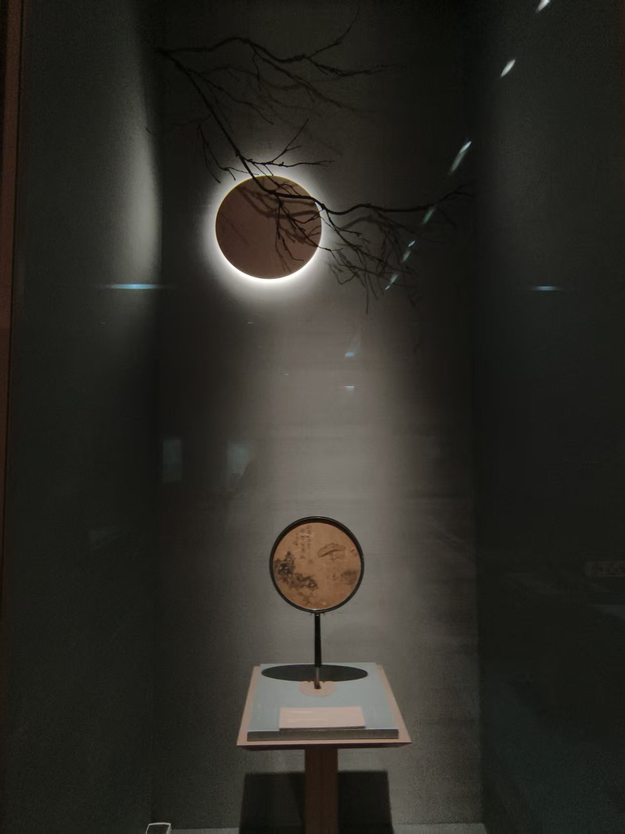 �Ͼ�������W̩�݌WԺ���`��������o�\�ӷ��z����ǧ�����}����