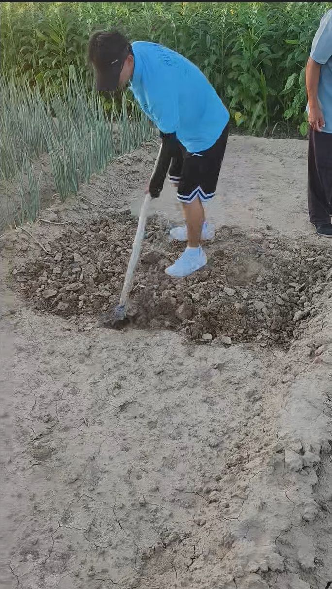 ���g����1