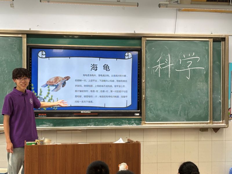 ͯ��̽���������R�� | ɽ�|������W(xu��)��֮��������������`�F(tu��n)�_չ��������n��