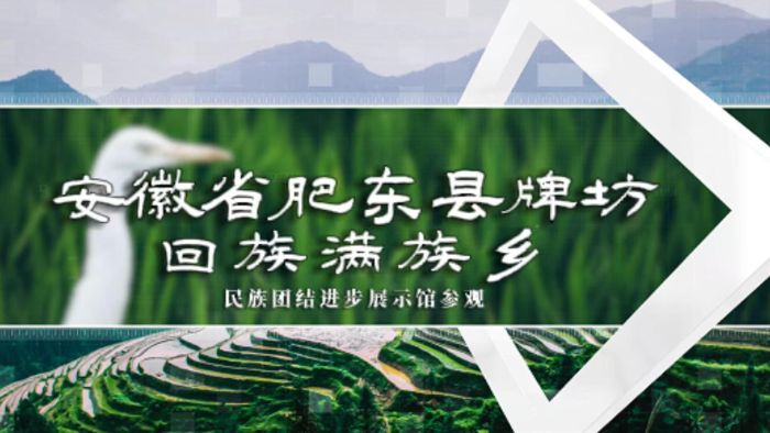 �Ͼ�������W̩�݌WԺ���tʯ�񡱸��ʖ|�Ʒ��l��̽�����干�ڌ��`�����������߻��ӌ�Ч