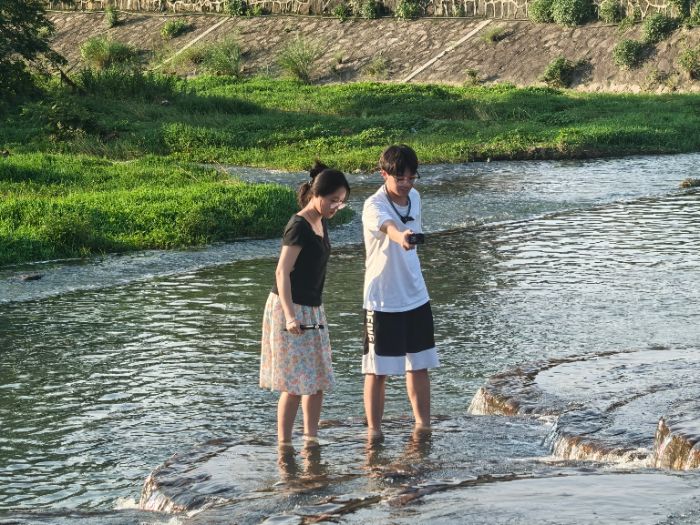 ���Z��Fꠡ��p�Z�R�^�µ��l�����d����