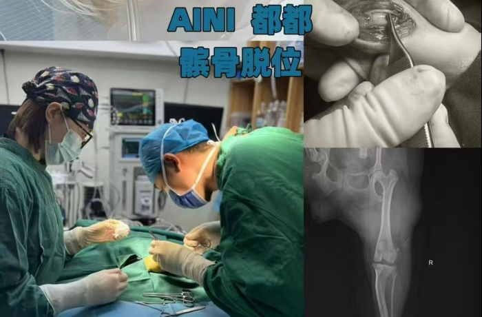 �A���r��W�Ӹ������_չ�����t(y��)�����`���Ԍ��I(y��)������� �Ð������o����