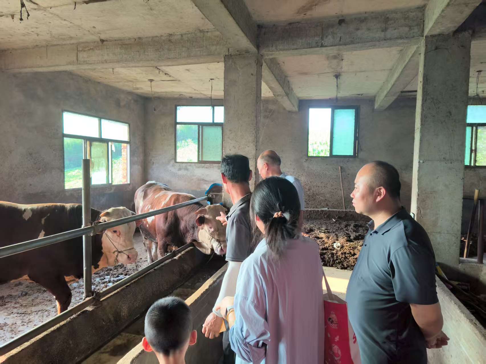 �ǽ��x�ܮa(ch��n)�I(y��)�� �ഺ����l(xi��ng)���顪��������b���̌W(xu��)Ժ���ǽ����r(n��ng)���l(xi��ng)�����d���`�F(tu��n)�����мo(j��)��