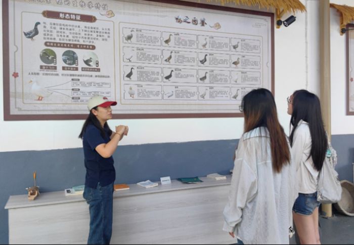 �Ͼ��r�I��WʳƷ�Ƽ��WԺ������`�F�_չ���l���z��ʳ�{�л��