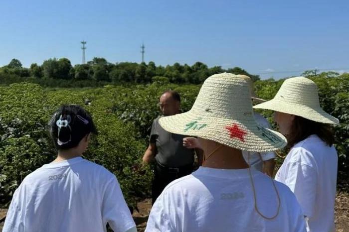 ����������W��������ģ�B(t��i)�f(xi��)ͬ�������A��Ч��