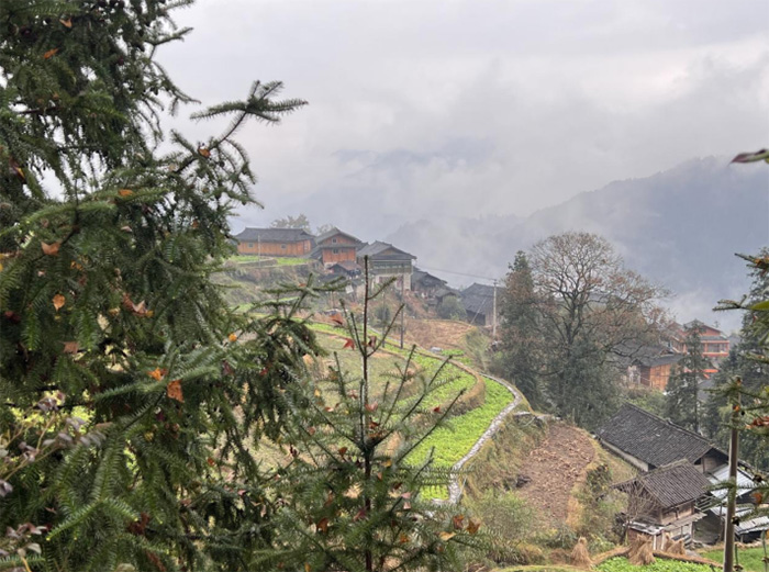 �����z��Ҋ���������������CӰ��ۙ���F��������״��������ʽ�Ļ��w��ھ��ز�