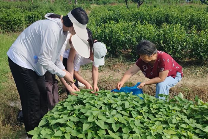 ��֪�ڸ�������ǡ������r(n��ng)С���̽�L��ɽ�˵أ�ժ���u�ː������r(n��ng)���f����