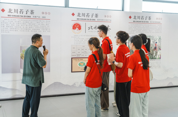 Ʒ̦�Ӳ��� ��F�Y���B ���� �L����W���`����M�������Ļ�չʾ����