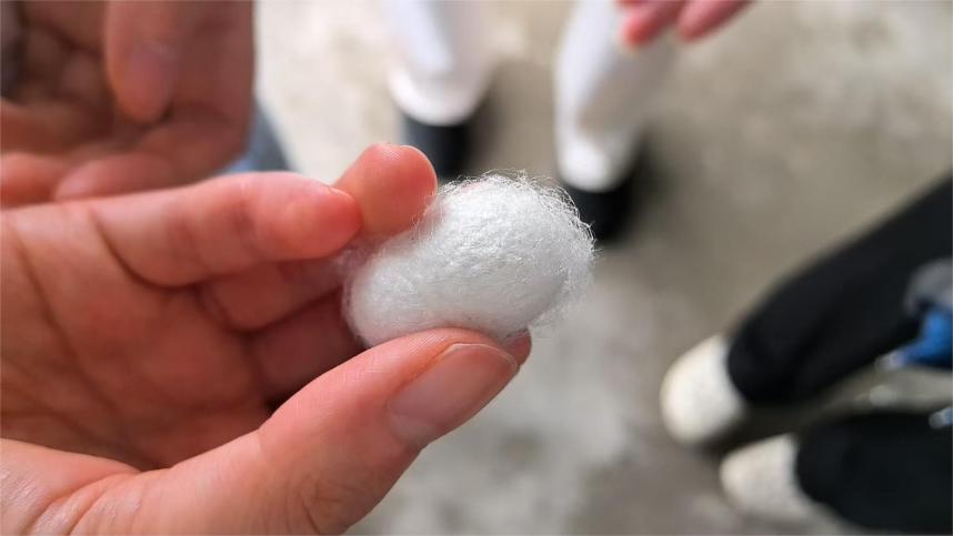 �����WԺ�����ž��d�l���F��_չ�������ڡ������l���{�л��