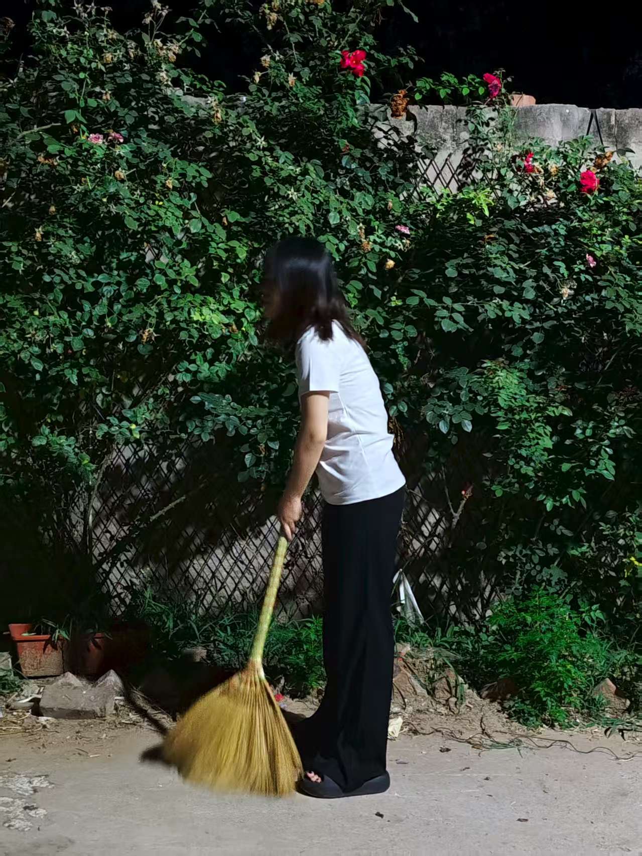 ���K�Ƽ���W������ƌWԺ�_չ�������lҰ���������d���l�����d���`�Є�