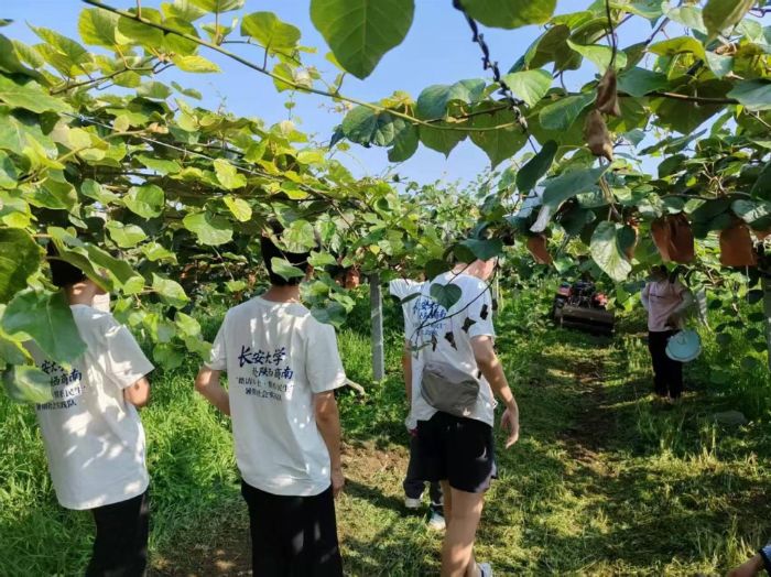 �L����W(xu��)��������ϡ�̤�L�l(xi��ng)������ϵ���������������(sh��)�`�(du��)̽�L�Nֲ��������a�J���Үa(ch��n)�I(y��)����·