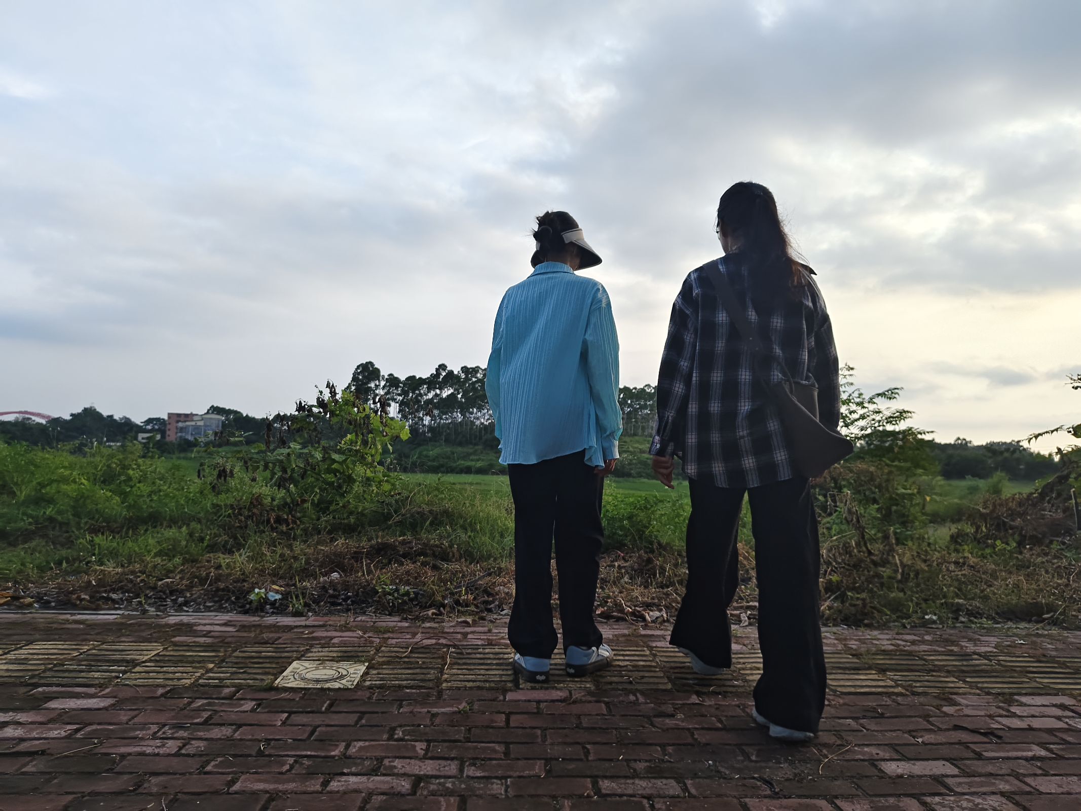 ���P�µ����d·����Ժ�W(xu��)������ƺˮ�ף��顰���P߀����������