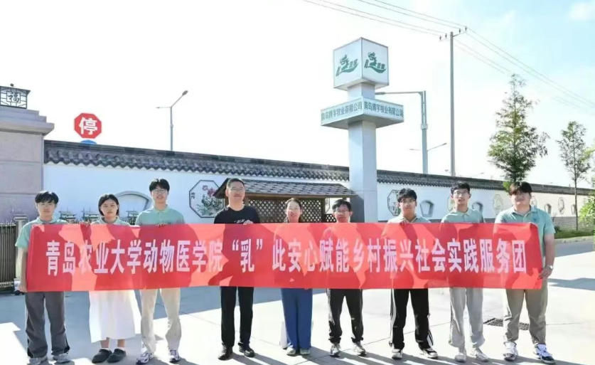 ���u�r(n��ng)����˰��Č��`�F���M���u�������I(y��)���޹�˾�������I(y��)�������`���ഺʹ��