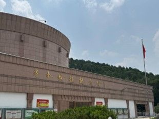 ׷˼Ӣ�Ҽ��������ഺ���v�Z���� �����Ї��V�I��W ���W�WԺ2024�����ǻ���н・��S�`�򣺼tɫ������Ќ��`�F���_չ���������ЌW���