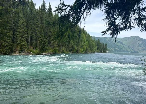 ����ɽ���g �x�܌��I�� ����2024 �����ڌ��I ��������ɽ�� ���`��ӈA�M��Ļ