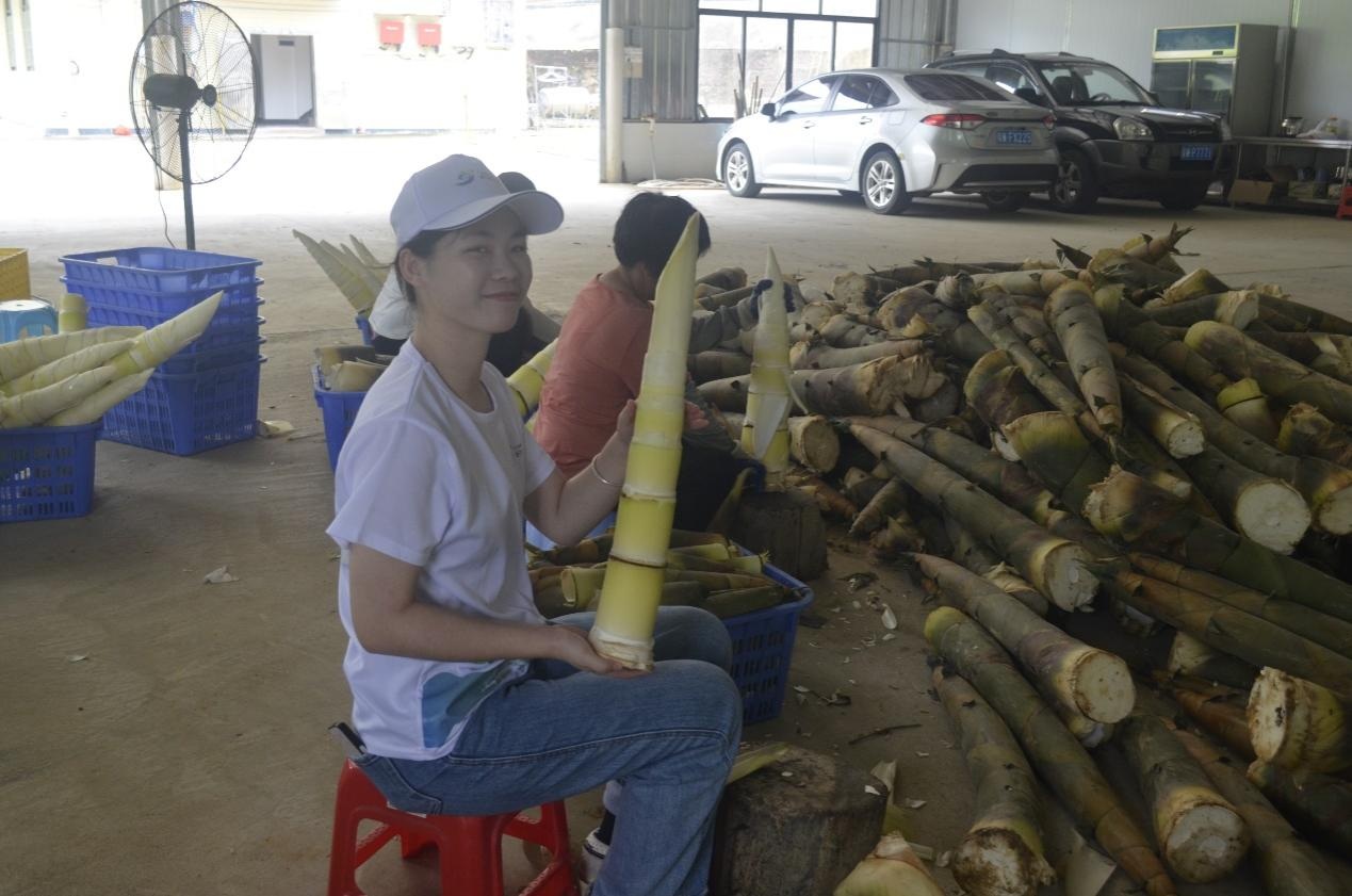 �D:�錍�`꠆Tչʾ����S��Ƥ�ɹ�