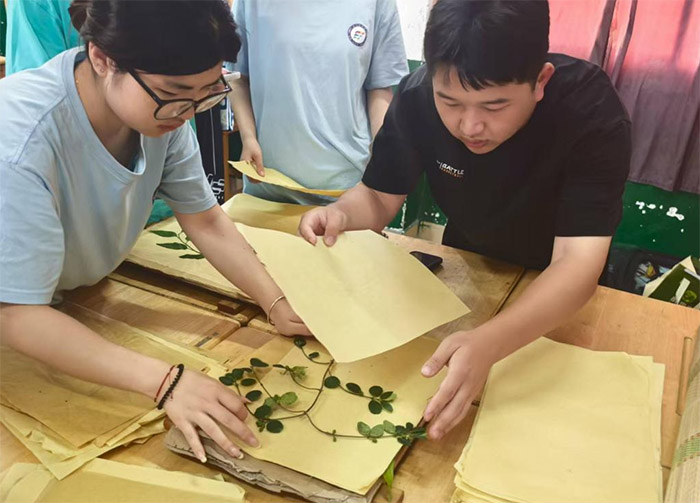 �����ľ�g�������m(x��)��ƪ�����B�T�t(y��)�W(xu��)Ժ���R־�ٲݡ����`��}�_���ˎ�{(di��o)�мo(j��)����(f��)�P��ǰ�У����������