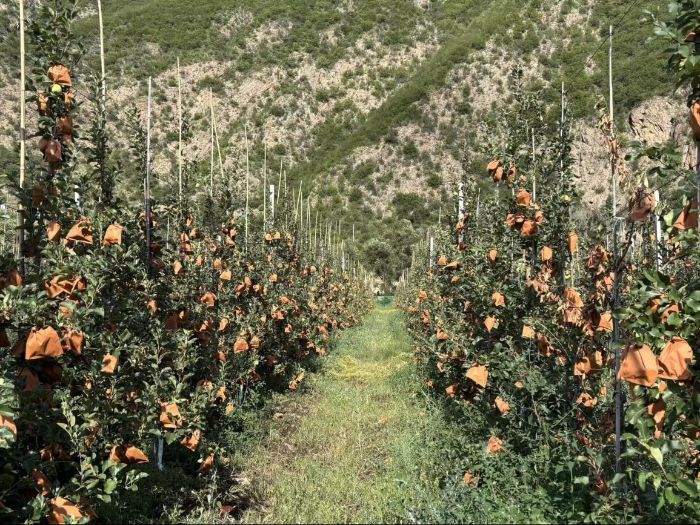 ��Ǽ���l�������O���a�I�����V��կ���O��������ƪ