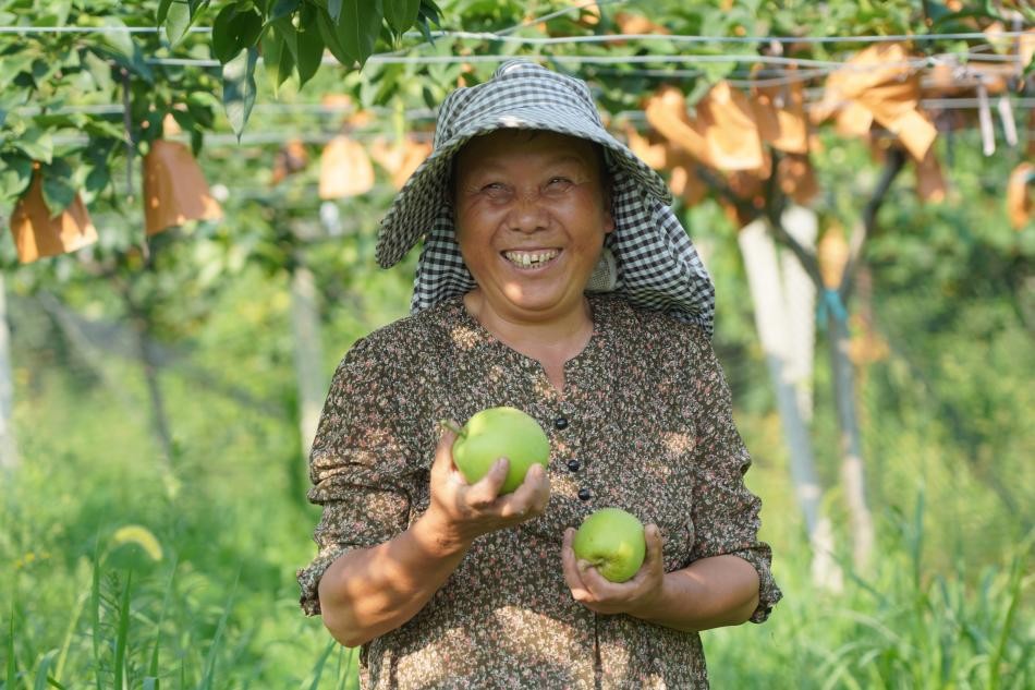 實踐團成員記錄果農豐收場景