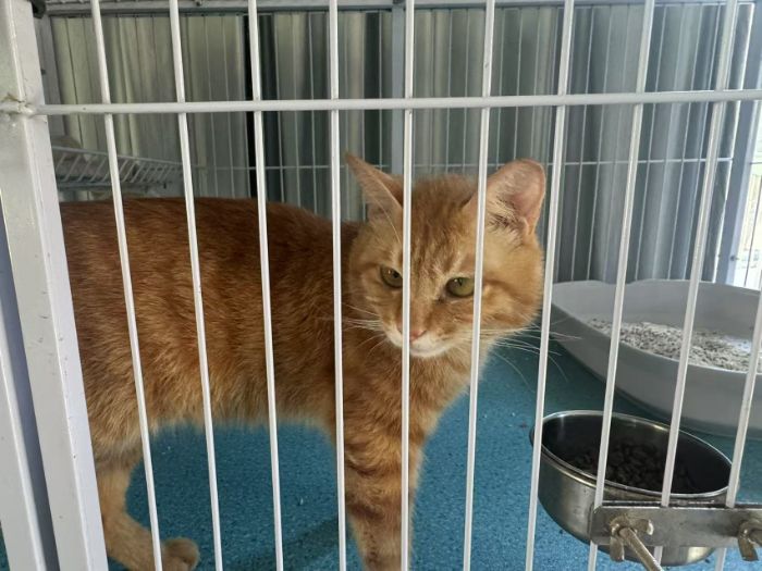 �t�o�ЌW�����ģ���Ӱ���񌤐�;������Ժ�W�Ӟ�ë���ӂ��c���ؼ�·