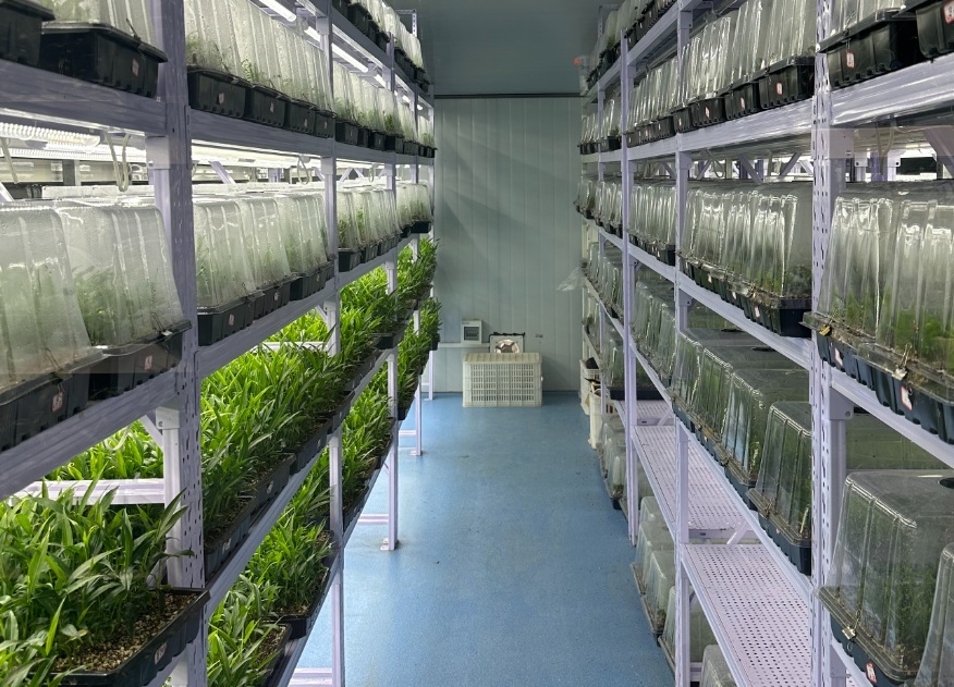 ��ƴ󡰼��d���S�����`ꠡ����G��δ�������dϣ��  