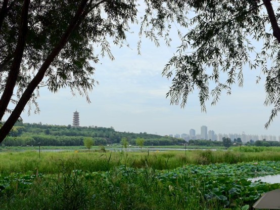 һ����ˮ���������fֻɳ��ԁ��ƪ�����������B�{����ӛ