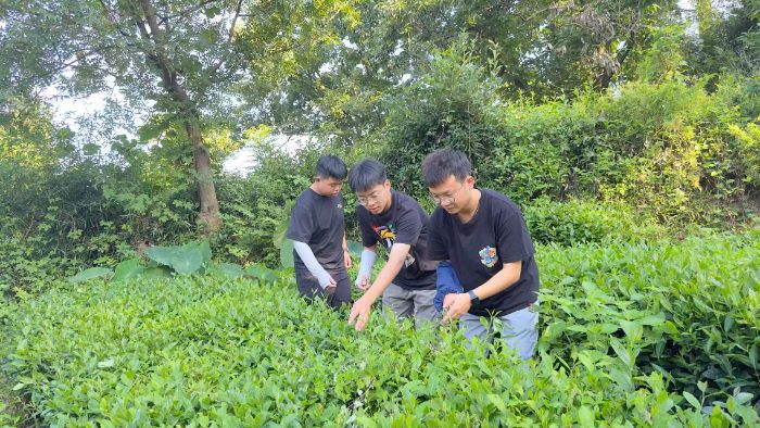 ̤��̽��@�������@���L(zh��ng)