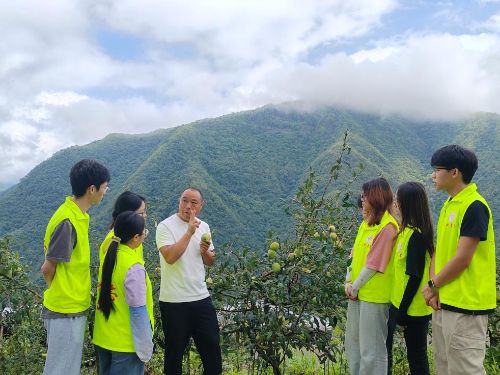 �Ƽ�����ľ�Ϯa�I������ƽ���l�����d