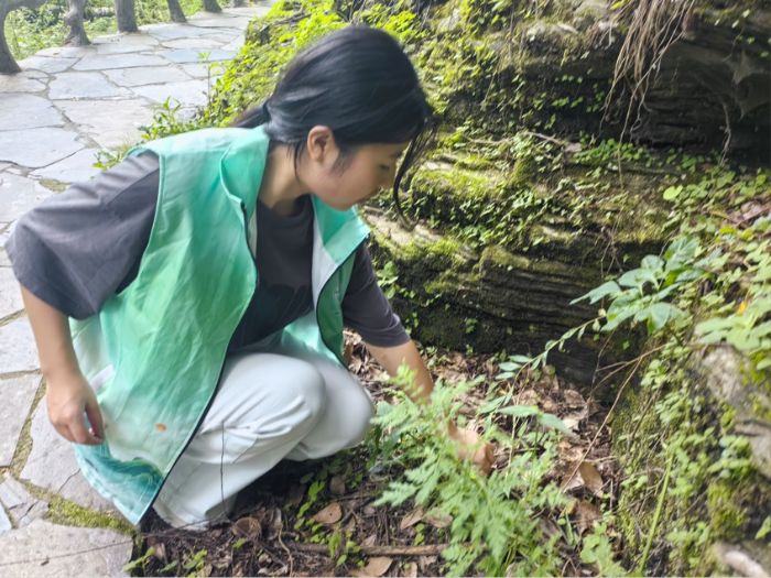 ��ɭ���`����������`꠵�ʮ���ա������oɭ�֭h���ң�������B���C��