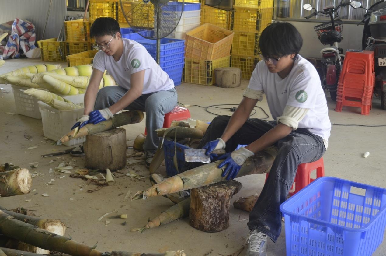 �D:�錍�`꠆T�w򞄃�S