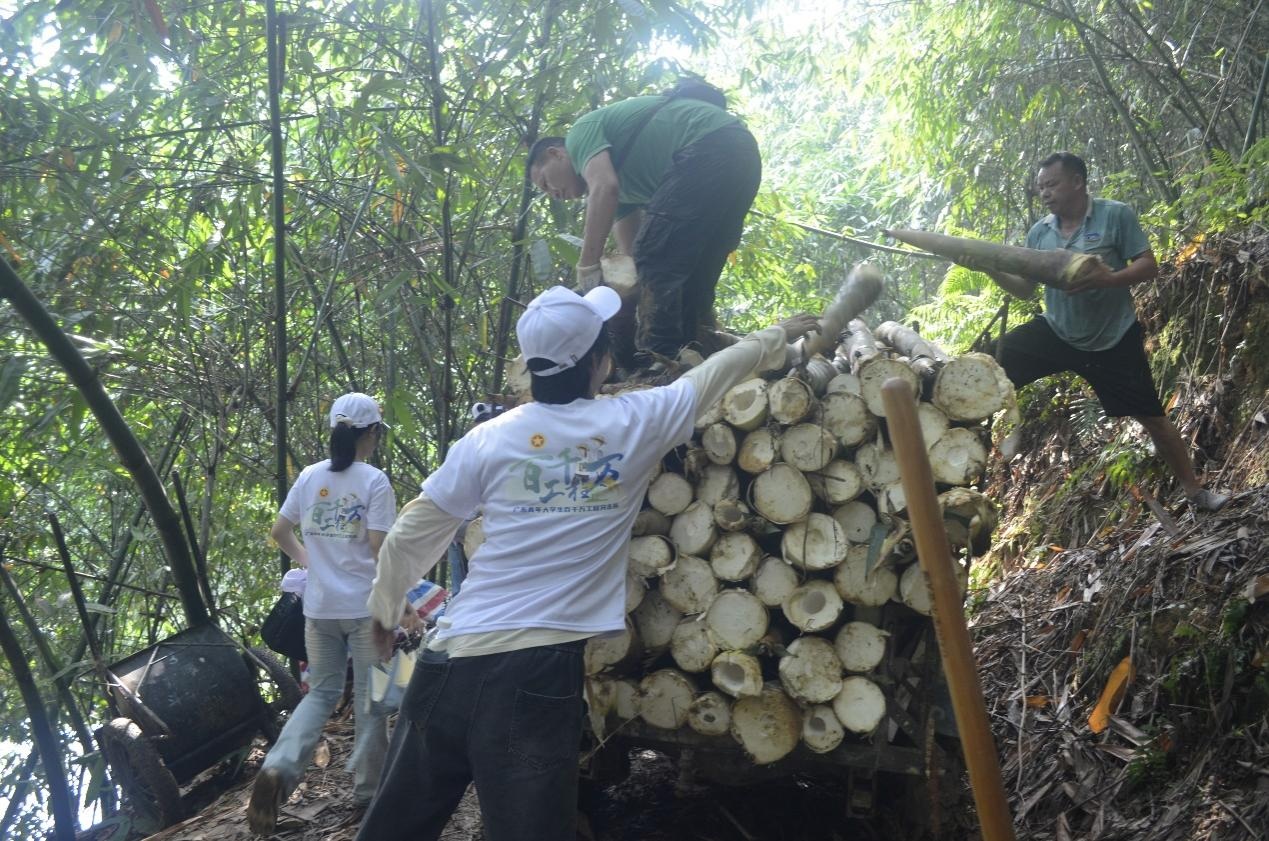 �D:�錍�`꠆T���r��һ����\����S