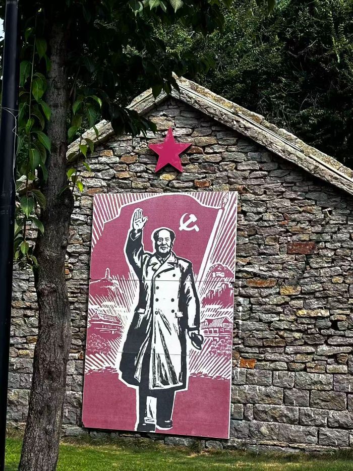 �����е����ɻ�