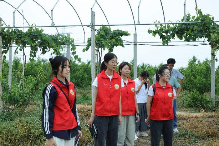 ɽ�|������W(xu��)����W(xu��)Ժѭ���ɡ����Ќ�(sh��)�`�F(tu��n)�{(di��o)��ƽ�ؿh���X��ͥ�r(n��ng)������̽���l(xi��ng)�����d·��