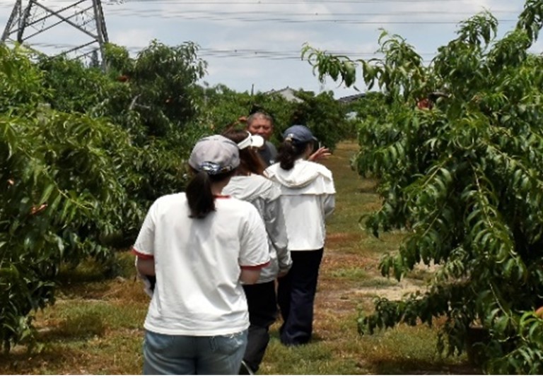 �Ͼ�ؔ(c��i)��(j��ng)��W(xu��)��(hu��)Ӌ(j��)�W(xu��)Ժ�����r(n��ng)��ϵ�ġ��������h(yu��n)����(sh��)�`�F(tu��n)�����{(di��o)�н�����³��(zh��n)�ļ��҈@