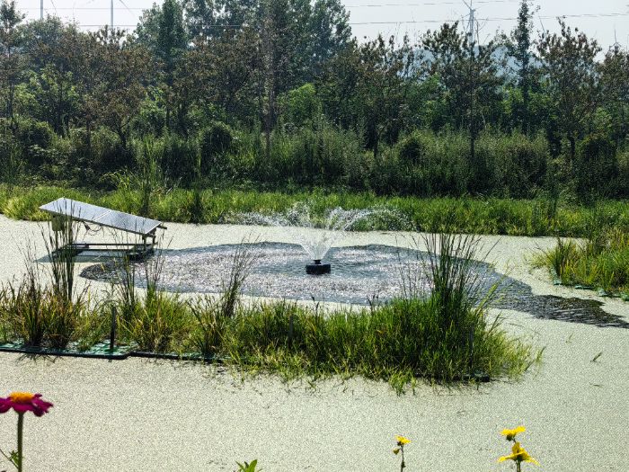 �Oʩ���|������ �����������҈@