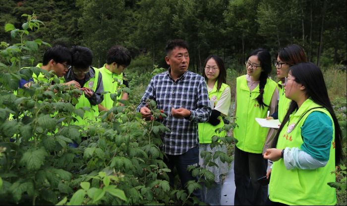 ��Ǽ���l��ݮ�d�����˄��¡�ݮ��·��