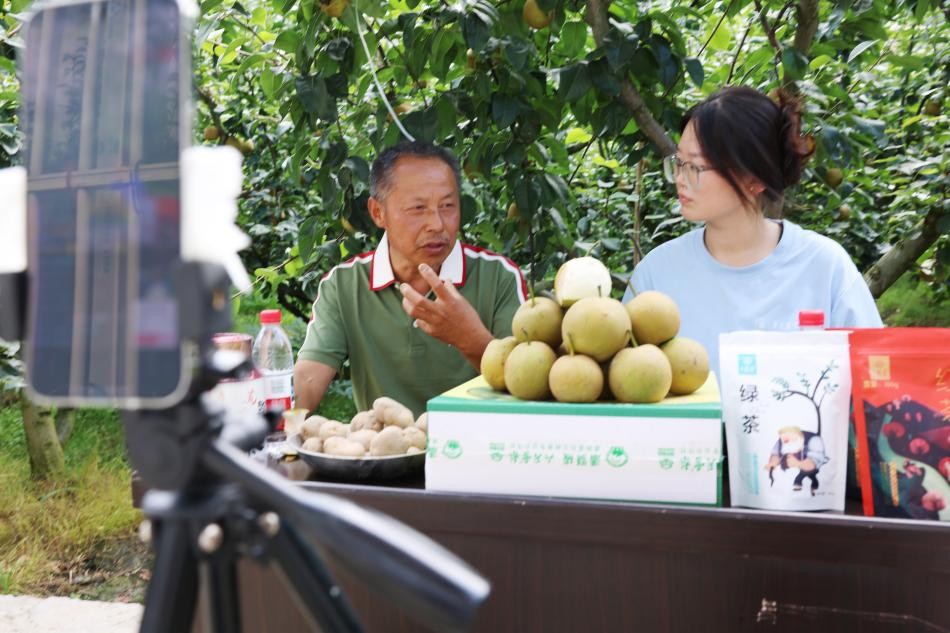 實踐團成員與六月雪梨創始人潘賢成(左)在直播中講述雪梨種植故事