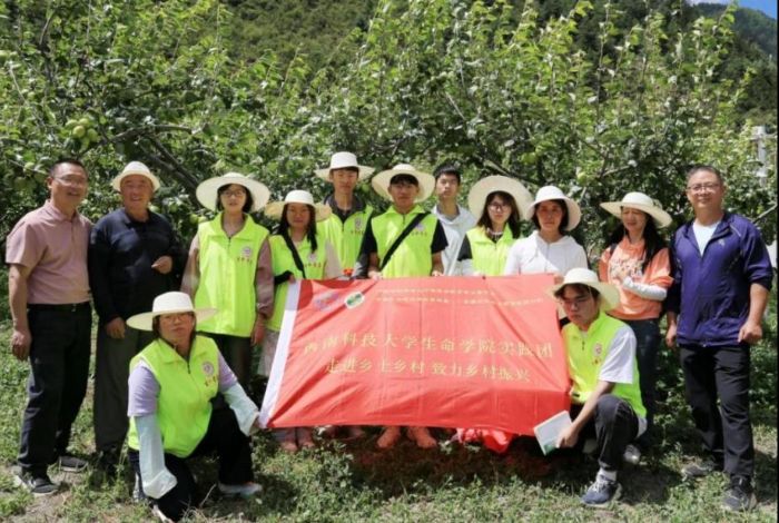 �Ƽ��������d���������桱���L����D